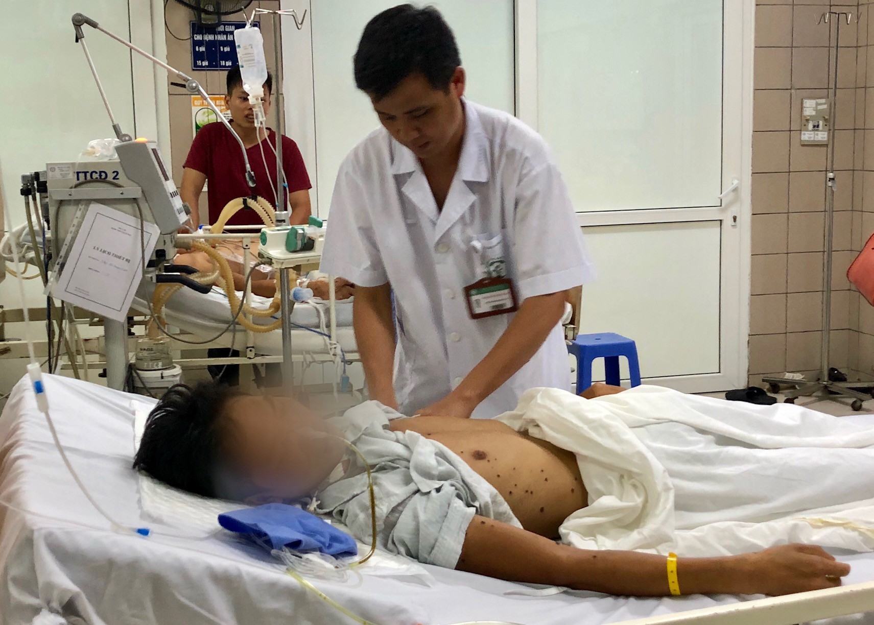 Bác sĩ mách cách xử trí đơn giản khi bị ong đốt - Ảnh 1.