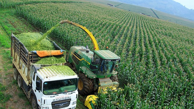Doanh nghiệp nông nghiệp bức xúc đủ điều