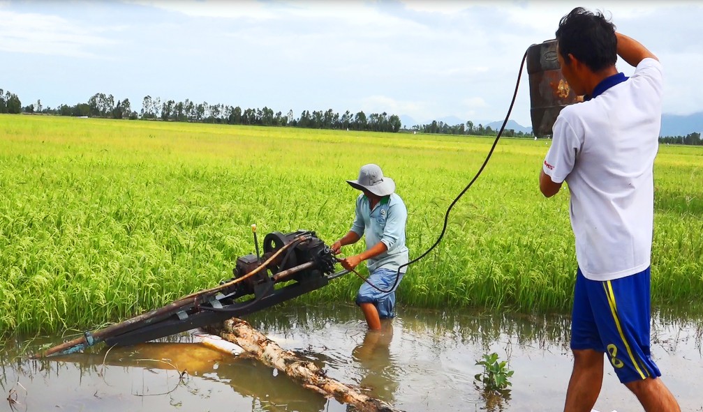 H&agrave;ng chục ng&agrave;n ha l&uacute;a v&ugrave;ng Tứ gi&aacute;c Long Xuy&ecirc;n bị nước lũ uy hiếp - Ảnh 6.