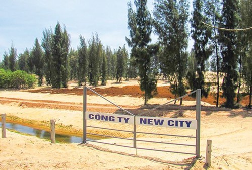 Những dự án FDI “mỡ nó rán nó” - Ảnh 1.