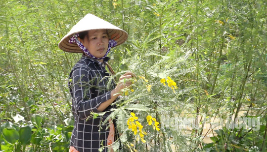 Thức từ 2 giờ sáng đi “săn” sản vật mùa nước nổi - Ảnh 5.
