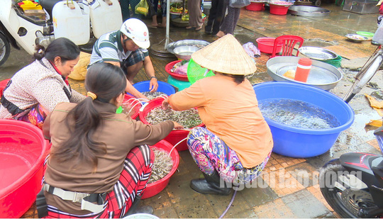 Thức từ 2 giờ sáng đi “săn” sản vật mùa nước nổi - Ảnh 2.