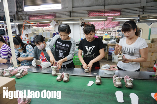 Qua thanh tra, ph&aacute;t hiện 30.600 NLĐ đ&oacute;ng thiếu bảo hiểm  - Ảnh 1.
