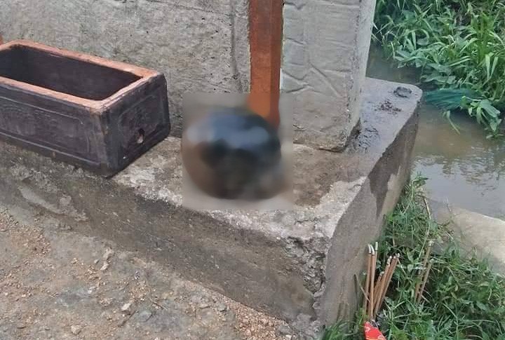 Phát hiện bộ hài cốt cùng bộ quần áo đàn ông dưới lạch nước