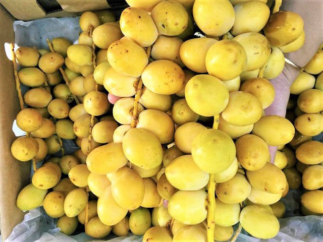 Ch&agrave; l&agrave; tươi nguy&ecirc;n c&agrave;nh bỗng nhi&ecirc;n g&acirc;y sốt thị trường - Ảnh 2.