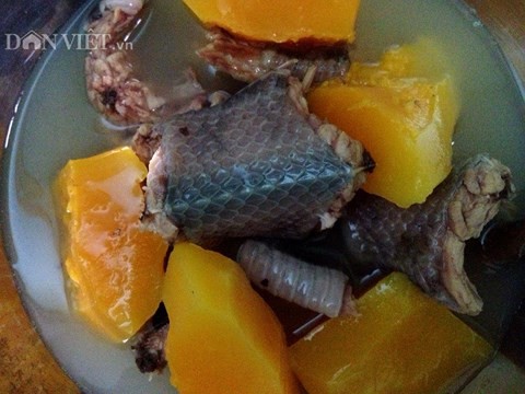 Độc đáo món rắn nước hầm sả mùa lũ miền Tây - Ảnh 2.