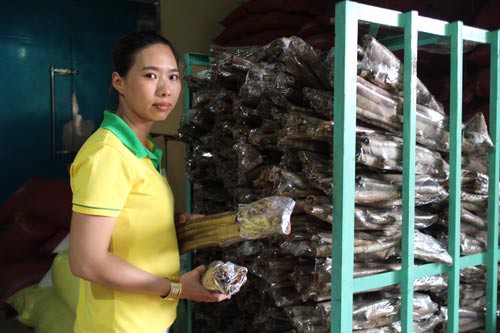 S&aacute;ng tạo từ l&ograve;ng y&ecirc;u nghề - Ảnh 1.