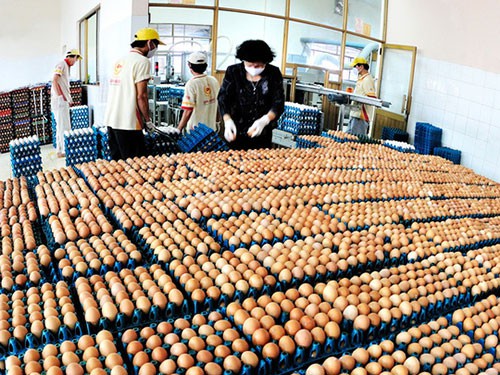 Ba Huân muốn hủy hợp tác với VinaCapital