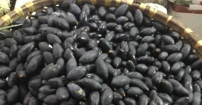 Trám đen vào mùa, chị em chi tiền triệu mua cả chục kg ăn dần