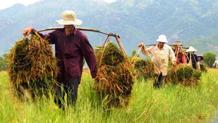 Tham nhũng chính sách