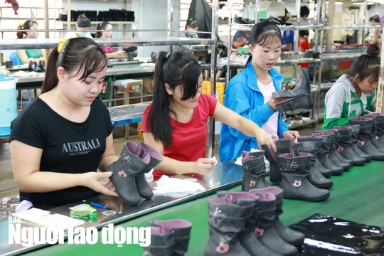 Đề xuất cấp bù 12% lương hưu cho lao động nữ