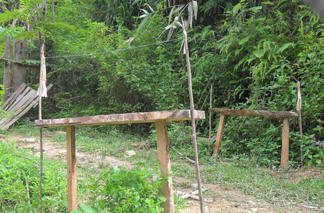 Kinh hoàng cảnh treo người chết trên đỉnh Tà Xi Láng  ở Yên Bái