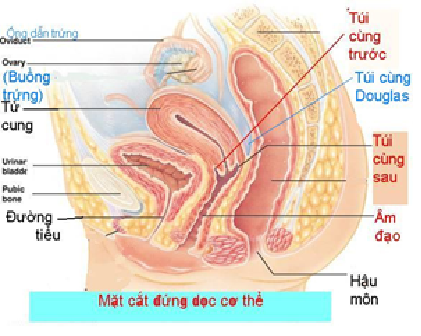 Nhập viện v&igrave; qu&aacute; vội y&ecirc;u sau sinh? - Ảnh 1.