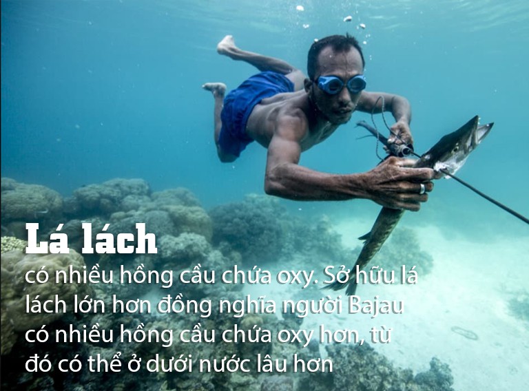 [eMagazine] Giải m&atilde; Người c&aacute; Bajau - Ảnh 2.