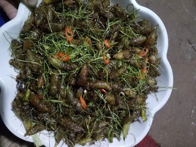 Món lạ: Ve sữa rang nước măng chua Tây Bắc