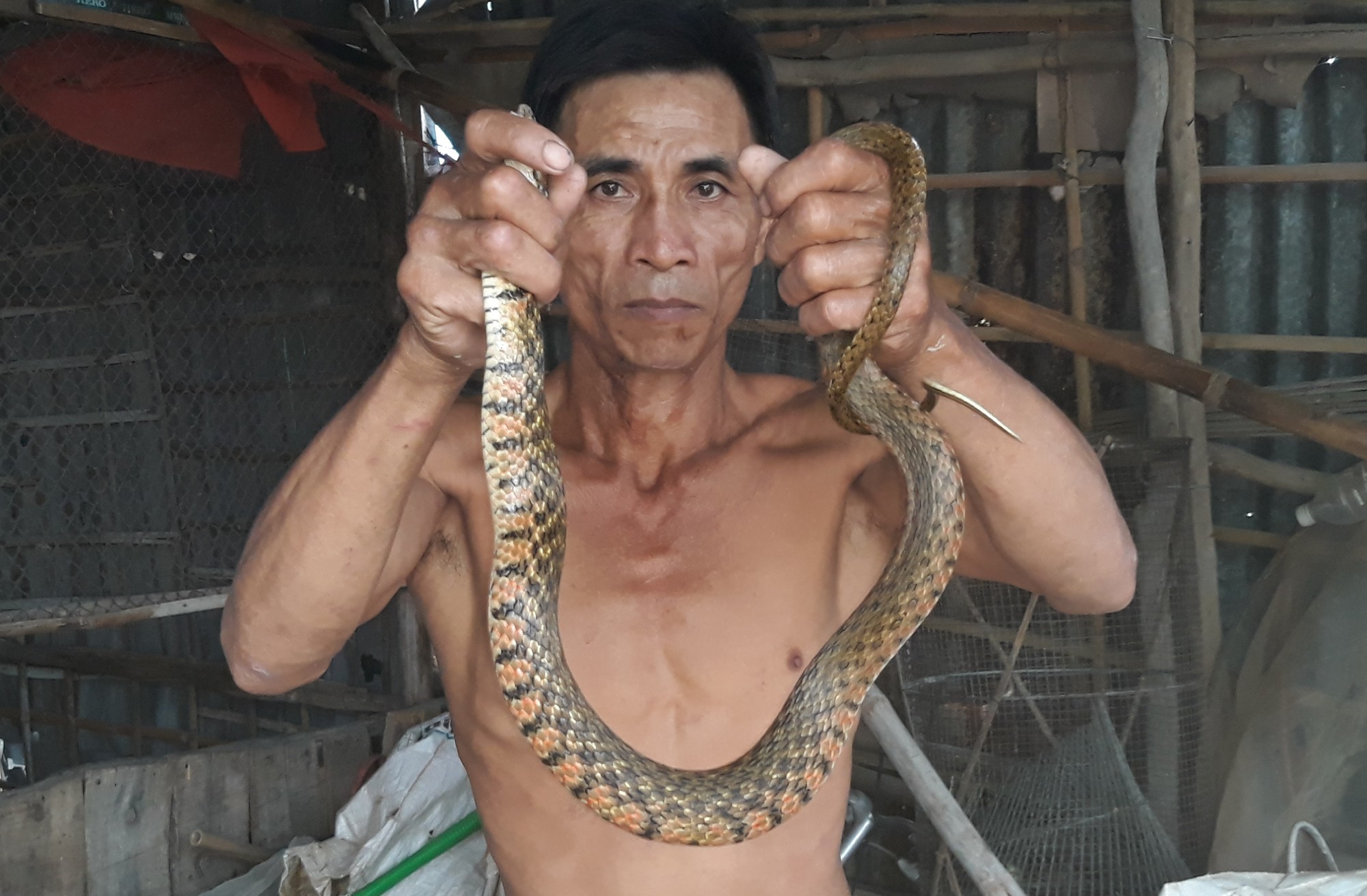 Mùa lũ đẹp về sớm, dân miền Tây bội thu tôm, cá
