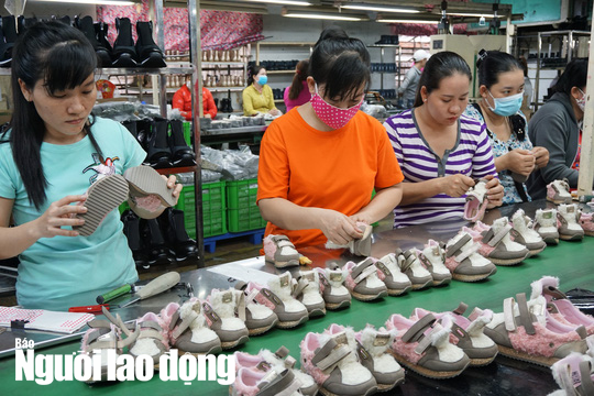 Điều chỉnh tuổi nghỉ hưu phải có tầm nhìn dài hạn - Ảnh 2.