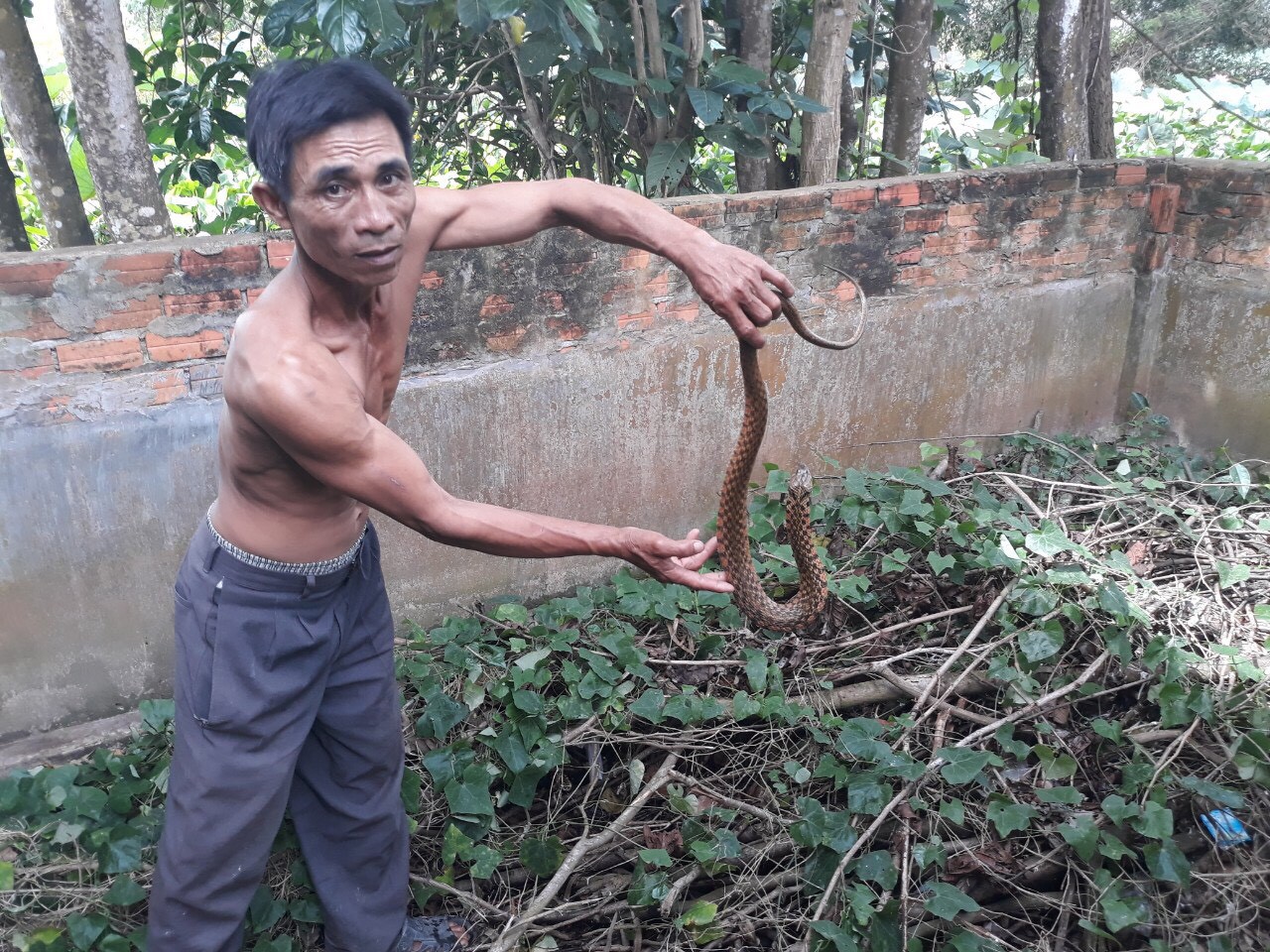 Mùa lũ đẹp về sớm, dân miền Tây bội thu tôm, cá - Ảnh 3.