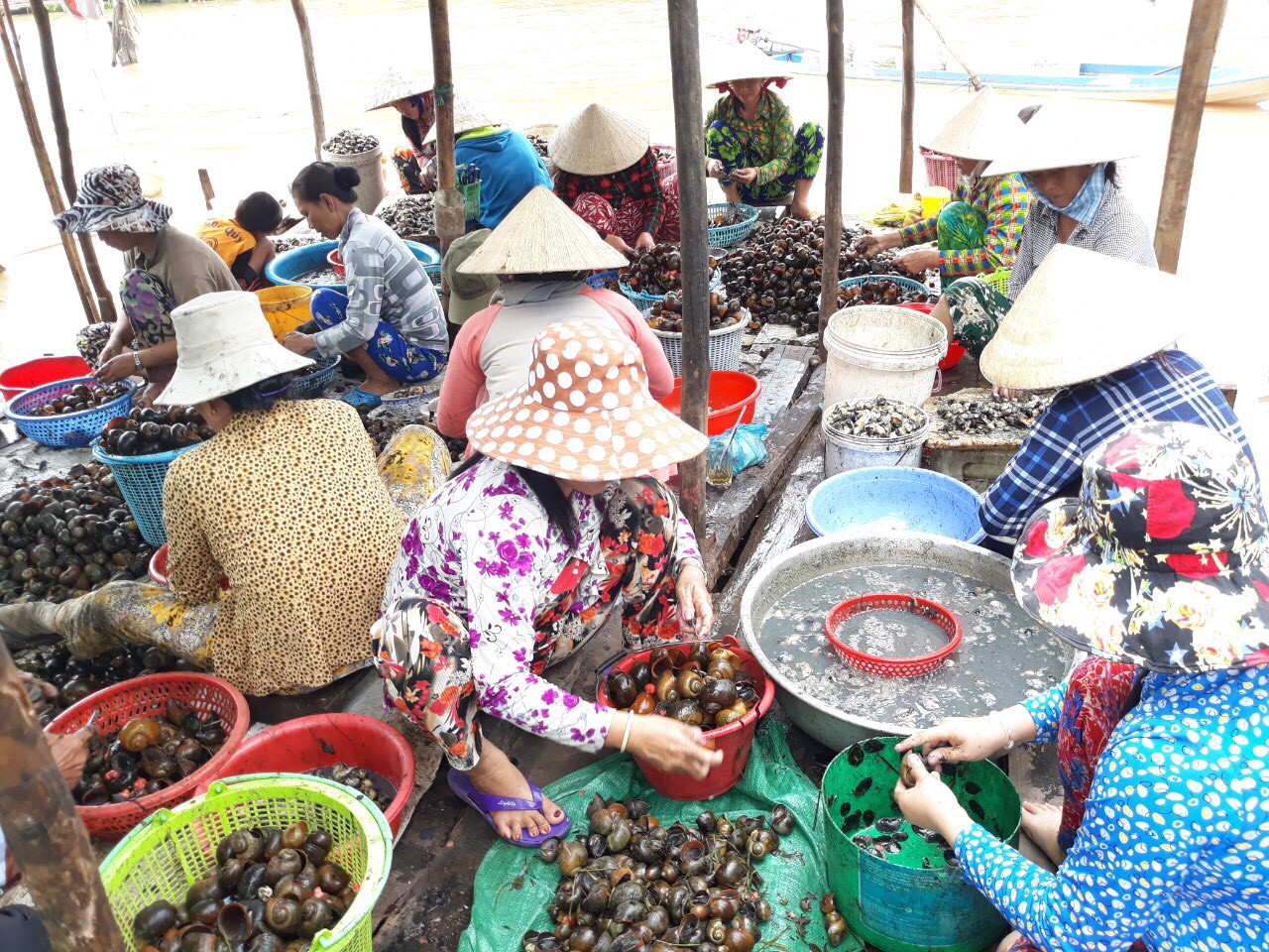 Mùa lũ đẹp về sớm, dân miền Tây bội thu tôm, cá - Ảnh 7.
