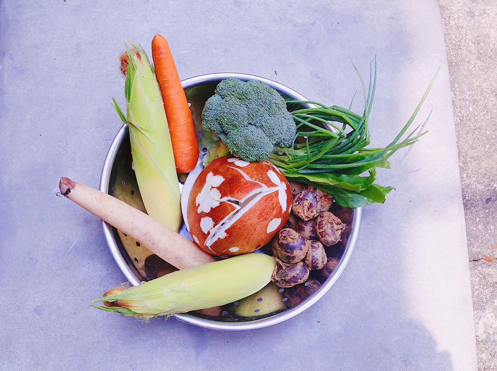 Canh chay sen dừa vừa ngon vừa trị bệnh - Ảnh 1.