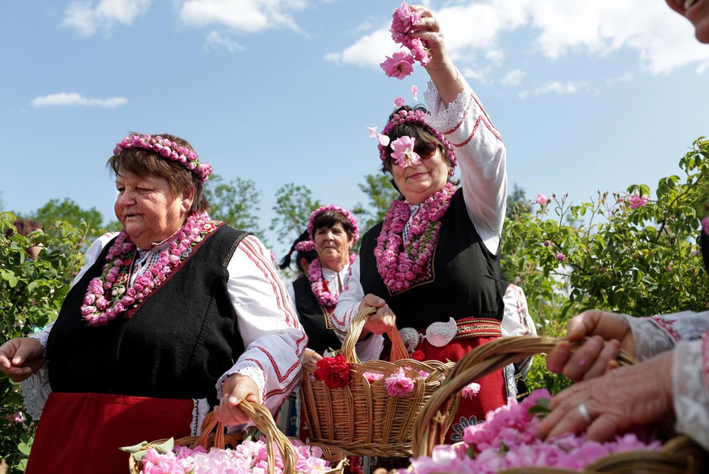Thung lũng hoa hồng thơ mộng giữa núi đồi Bulgaria - Ảnh 2.