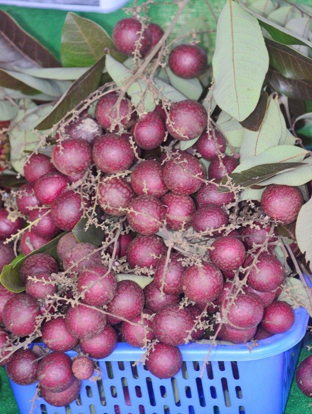 Nh&atilde;n t&iacute;m thương l&aacute;i Th&aacute;i Lan l&ugrave;ng mua: Mỗi nh&aacute;nh gi&aacute; bạc triệu - Ảnh 3.