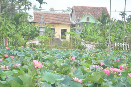 Bí ẩn cuộc đời vua Quang Trung (*): Ba giả vương nhập cận - Ảnh 1.