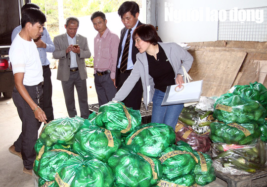 Cận cảnh hơn 40 tấn hoa, rau Đà Lạt gửi tặng Trường Sa - Ảnh 2.