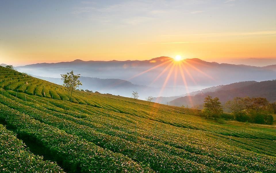 Du lịch 2/9: 7 hướng đi chính ở Đà Lạt tiện tham quan các điểm đến - Ảnh 11.