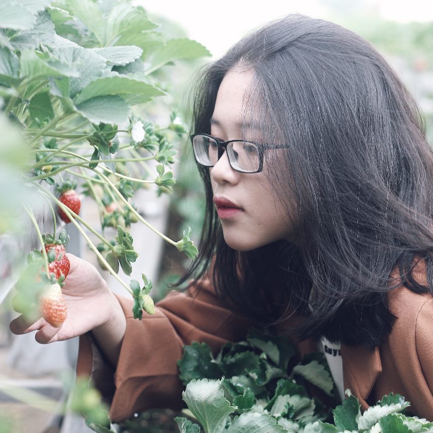 Du lịch 2/9: 7 hướng đi chính ở Đà Lạt tiện tham quan các điểm đến - Ảnh 7.