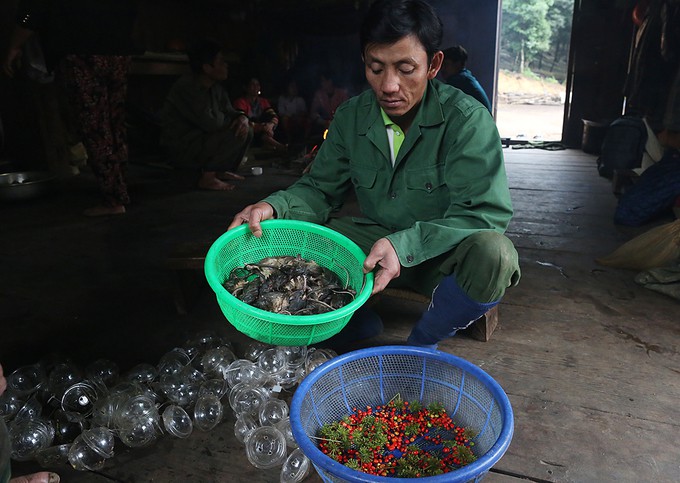 Đặc sản chuột ăn hạt s&acirc;m đ&atilde;i kh&aacute;ch qu&yacute; ở n&uacute;i Ngọc Linh - Ảnh 2.