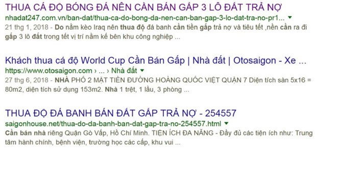 Vỡ nợ b&aacute;n nh&agrave; gấp tr&ecirc;n mạng: Coi chừng d&iacute;nh c&uacute; lừa của c&ograve; - Ảnh 1.