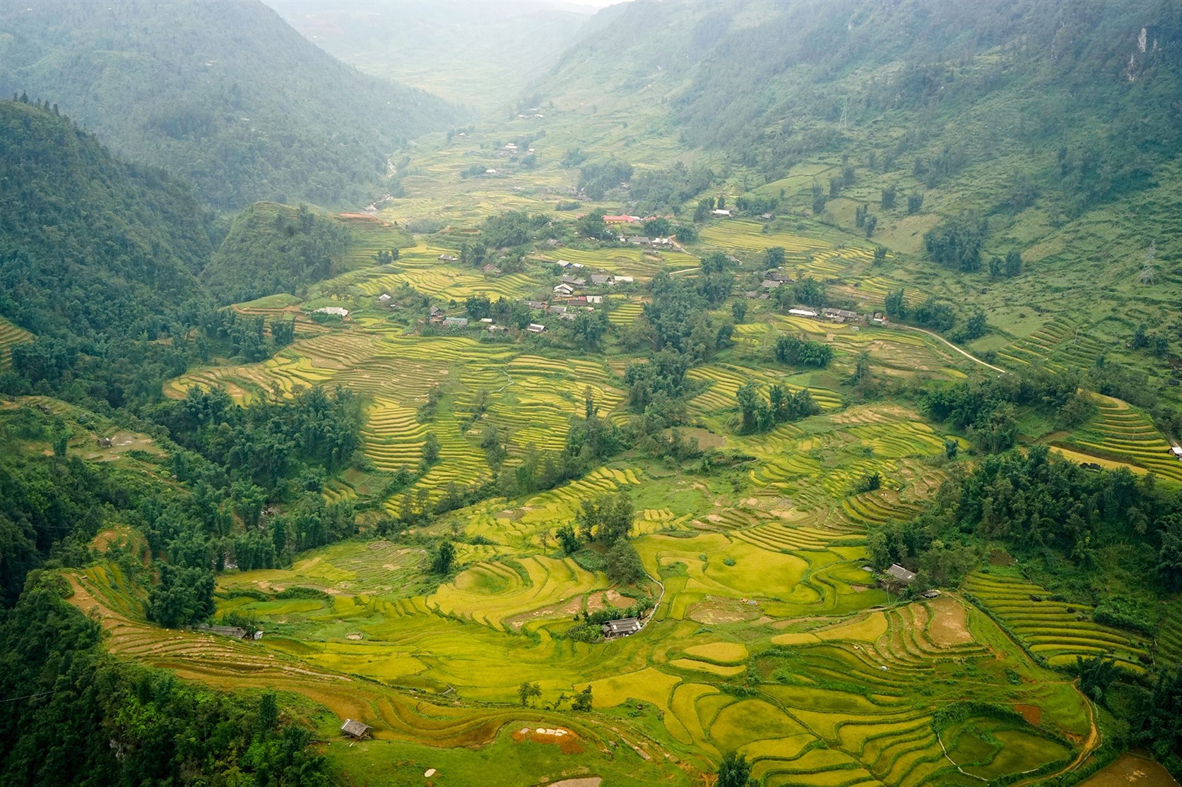 L&uacute;a đ&atilde; ch&iacute;n v&agrave;ng khắp thung lũng Mường Hoa, x&aacute;ch ba l&ocirc; l&ecirc;n v&agrave; đi th&ocirc;i! - Ảnh 2.