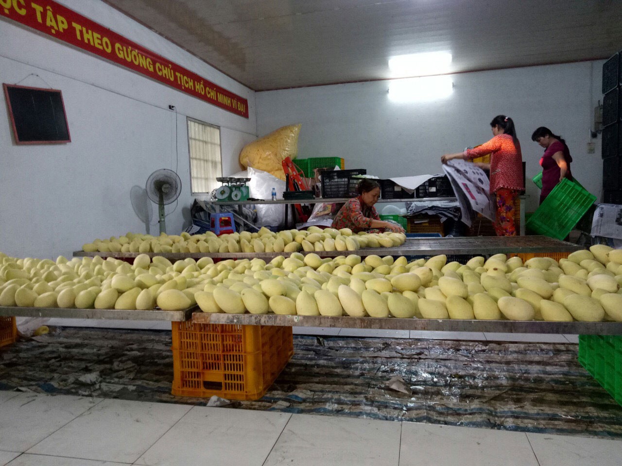 Chuyện mua, chuyện bán thời công nghệ số