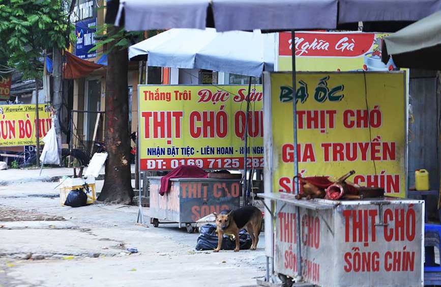 Nói không với thịt chó?