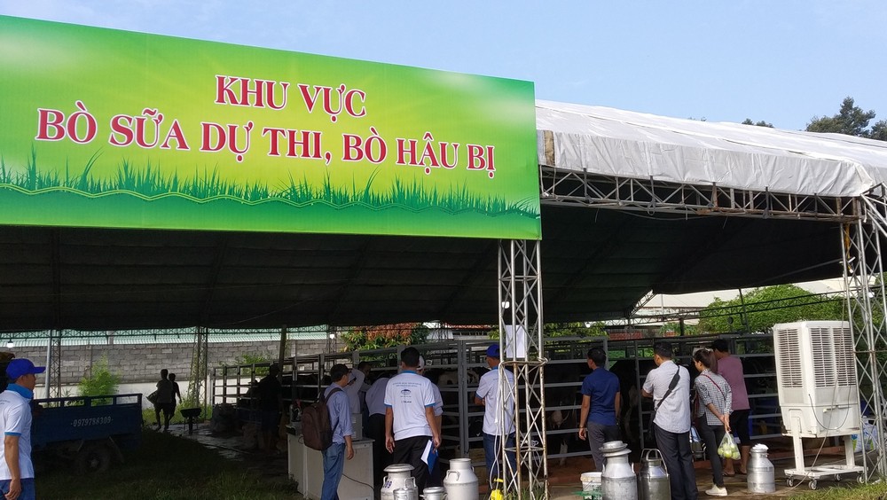 27 thí sinh tham gia vòng chung kết hoa hậu bò sữa tại Củ Chi - Ảnh 1.