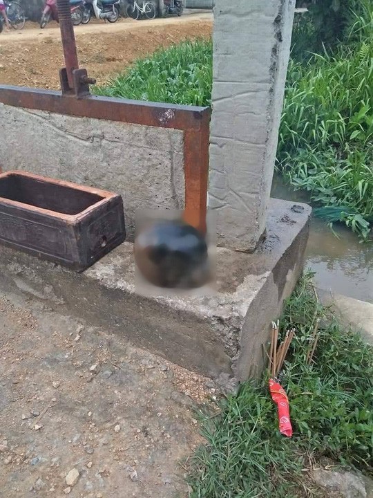 X&aacute;c định danh t&iacute;nh bộ h&agrave;i cốt được người d&acirc;n ph&aacute;t hiện - Ảnh 1.