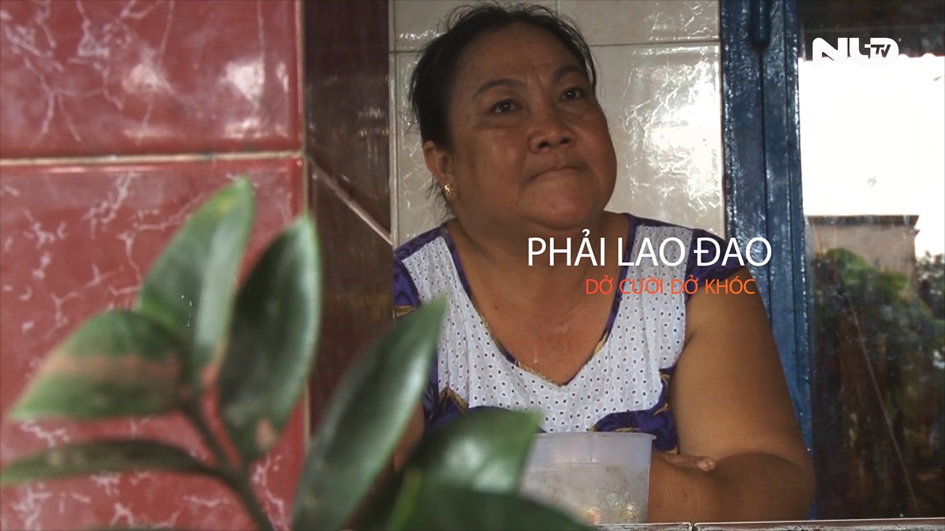 Kỳ 1: Tiếng kêu cứu lao động Việt ở Nhật Bản