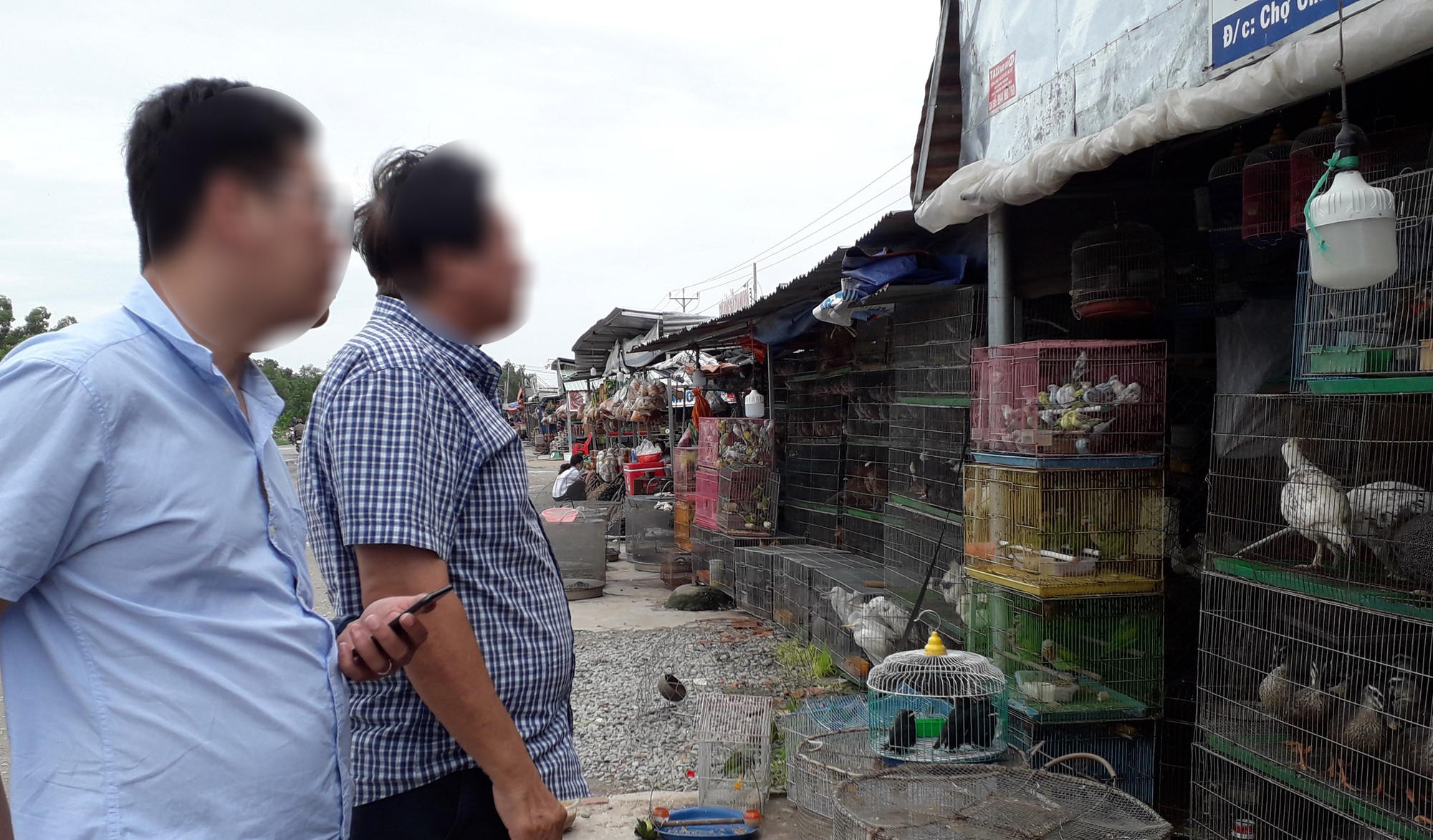 Cận cảnh t&agrave;n s&aacute;t chim trời ở chợ chim lớn nhất Miền T&acirc;y - Ảnh 11.