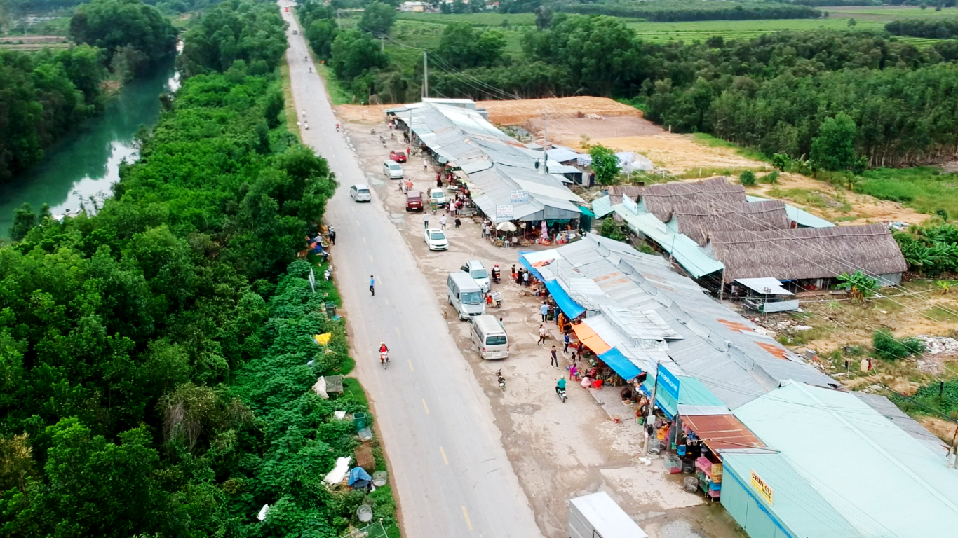 Cận cảnh t&agrave;n s&aacute;t chim trời ở chợ chim lớn nhất Miền T&acirc;y - Ảnh 2.