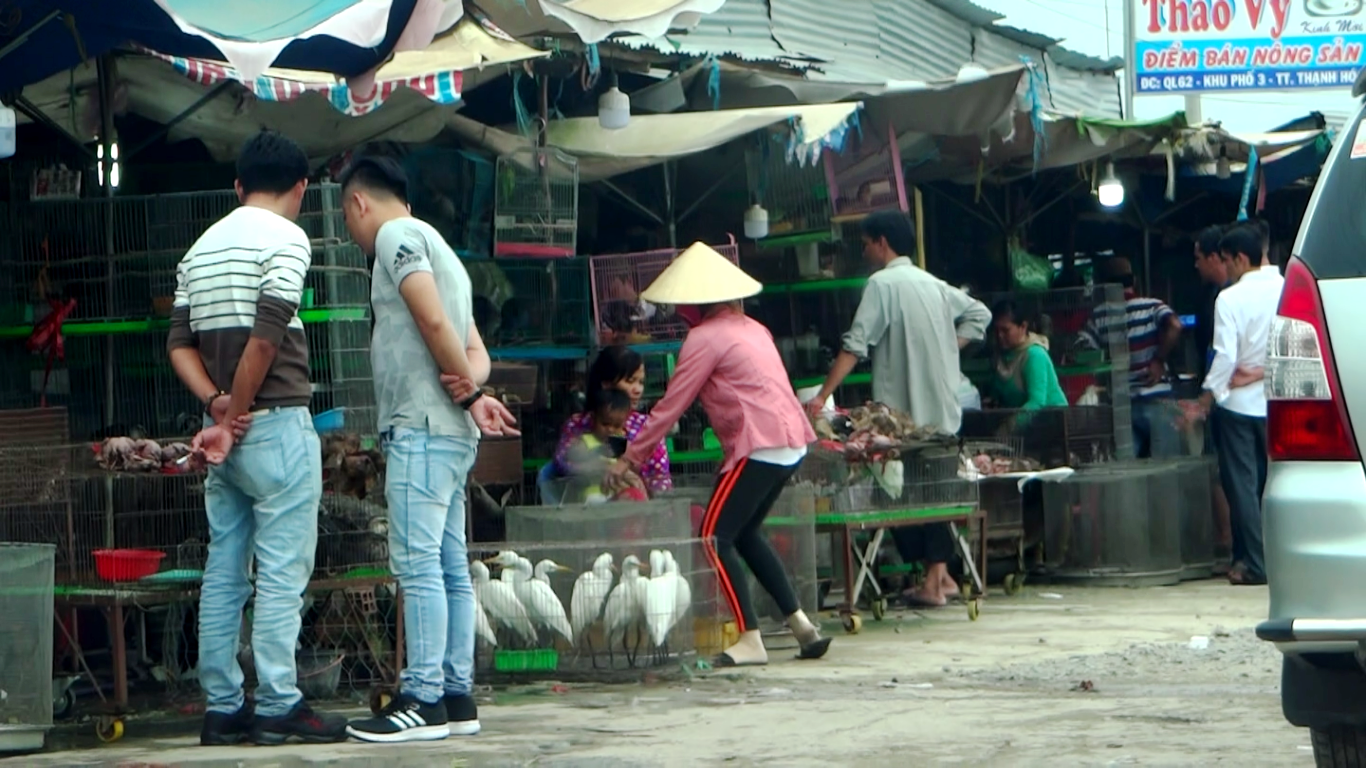 Cận cảnh t&agrave;n s&aacute;t chim trời ở chợ chim lớn nhất Miền T&acirc;y - Ảnh 4.