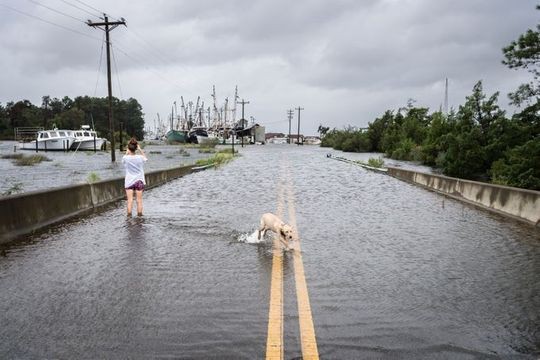 Philippines mở kho gạo bị tịch thu cứu trợ d&acirc;n trong si&ecirc;u b&atilde;o Mangkhut - Ảnh 6.