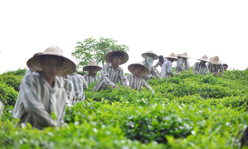 Phạm nhân được lao động ngoài trại giam?