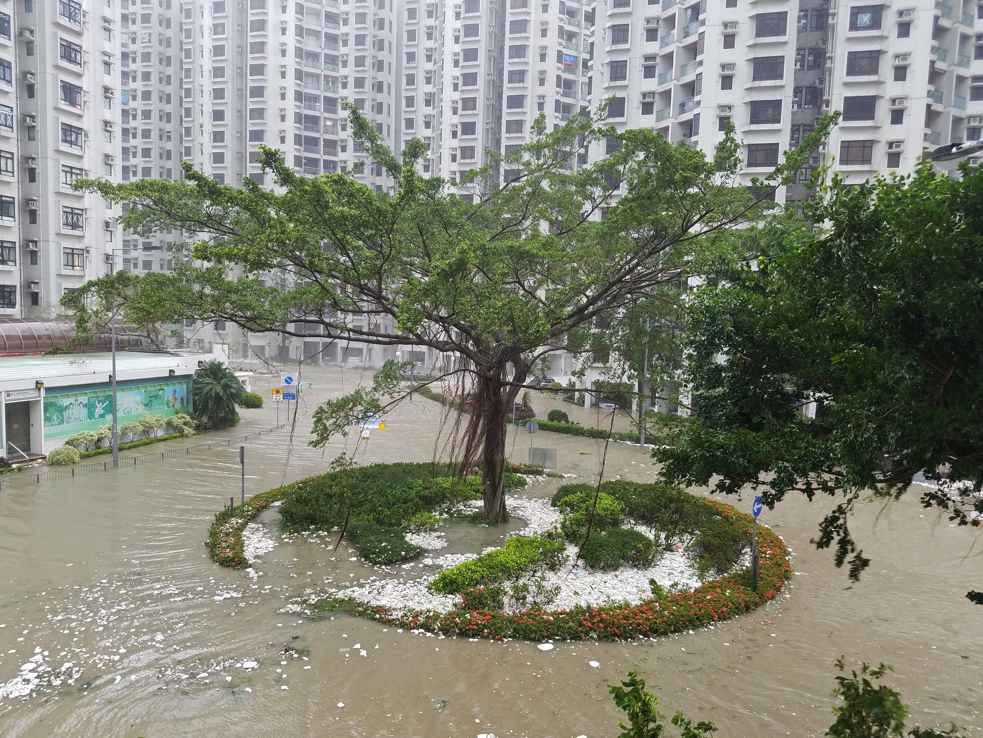 [Clip] - B&atilde;o Mangkhut x&ocirc; nghi&ecirc;ng nh&agrave; cửa, người gi&agrave; ở Hồng K&ocirc;ng quyết kh&ocirc;ng sơ t&aacute;n - Ảnh 4.