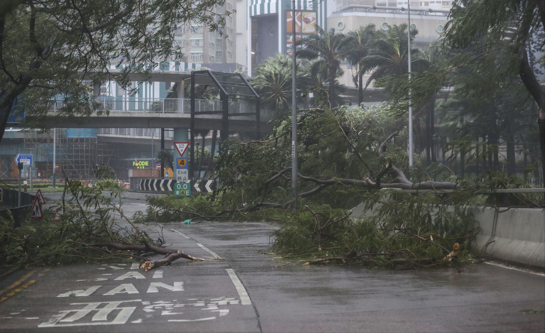 B&atilde;o Mangkhut đổ bộ Trung Quốc, 2,45 triệu người đi trốn - Ảnh 6.