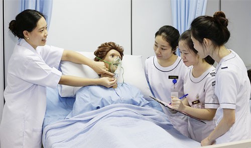 Tuyển điều dưỡng, hộ lý sang Nhật Bản làm việc - Ảnh 1.