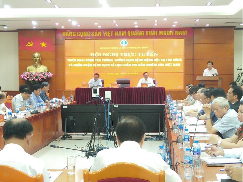 Nguy cơ dịch tả lợn ch&acirc;u Phi x&acirc;m nhiễm v&agrave;o Việt Nam rất cao - Ảnh 1.