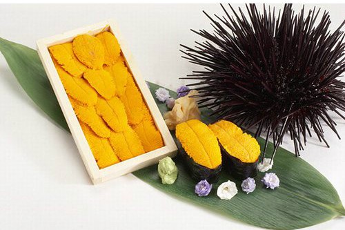 Trứng nhím biển Nhật gần triệu đồng/lạng được lùng mua