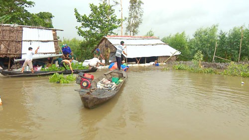 Lũ phức tạp, ĐBSCL thiệt hại nặng
