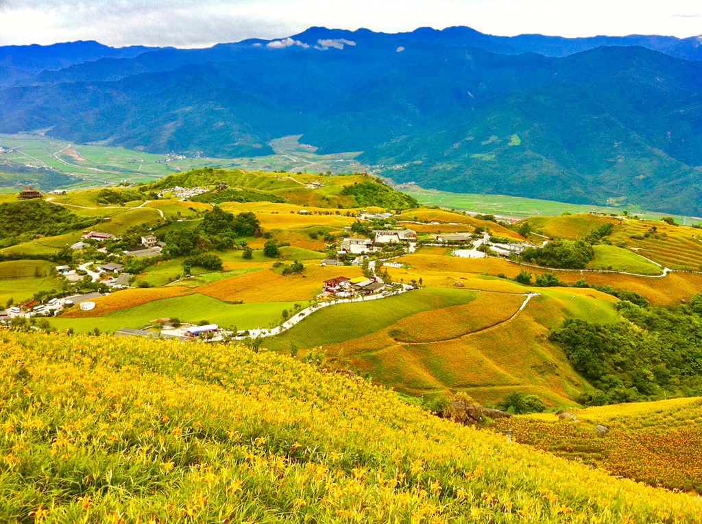 Chi&ecirc;m ngưỡng xứ sở hoa kim ch&acirc;m đẹp như tranh vẽ ở Đ&agrave;i Loan - Ảnh 10.